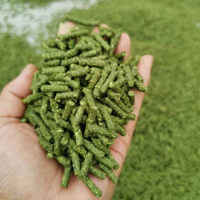 苜蓿颗粒