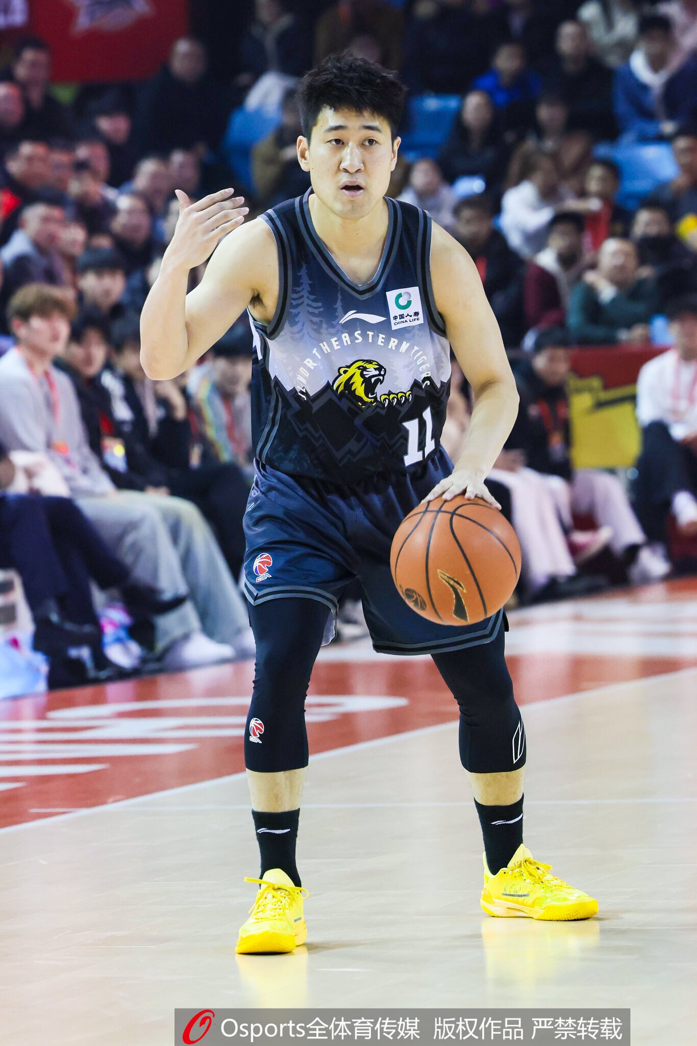 吉林注册11名球员:姜伟泽B类合同还剩1年 崔晋铭续签1年C类合同