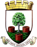 韦尔斯城